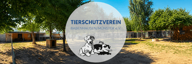 Tierheim Babenhausen